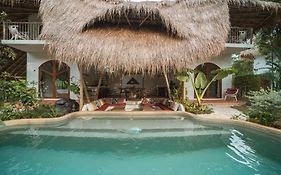 Aloe Ecological Beach & Jungle Villas